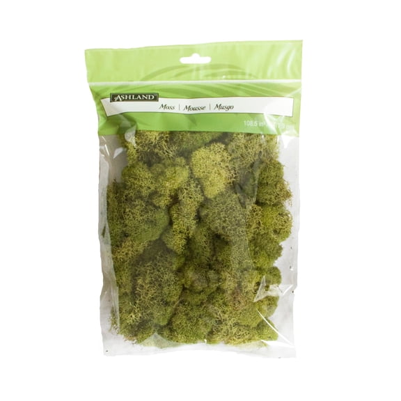 Ashland Spring Green Reindeer Moss, 12 Pack
