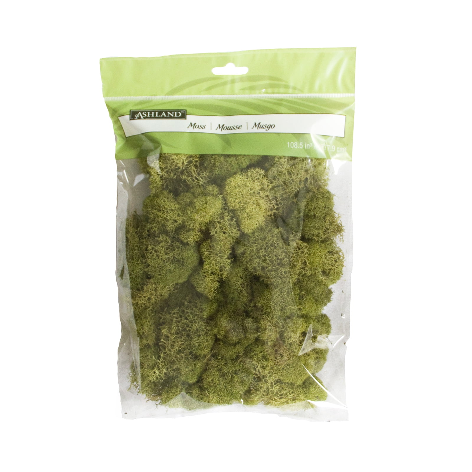 Ashland Spring Green Reindeer Moss, 12 Pack