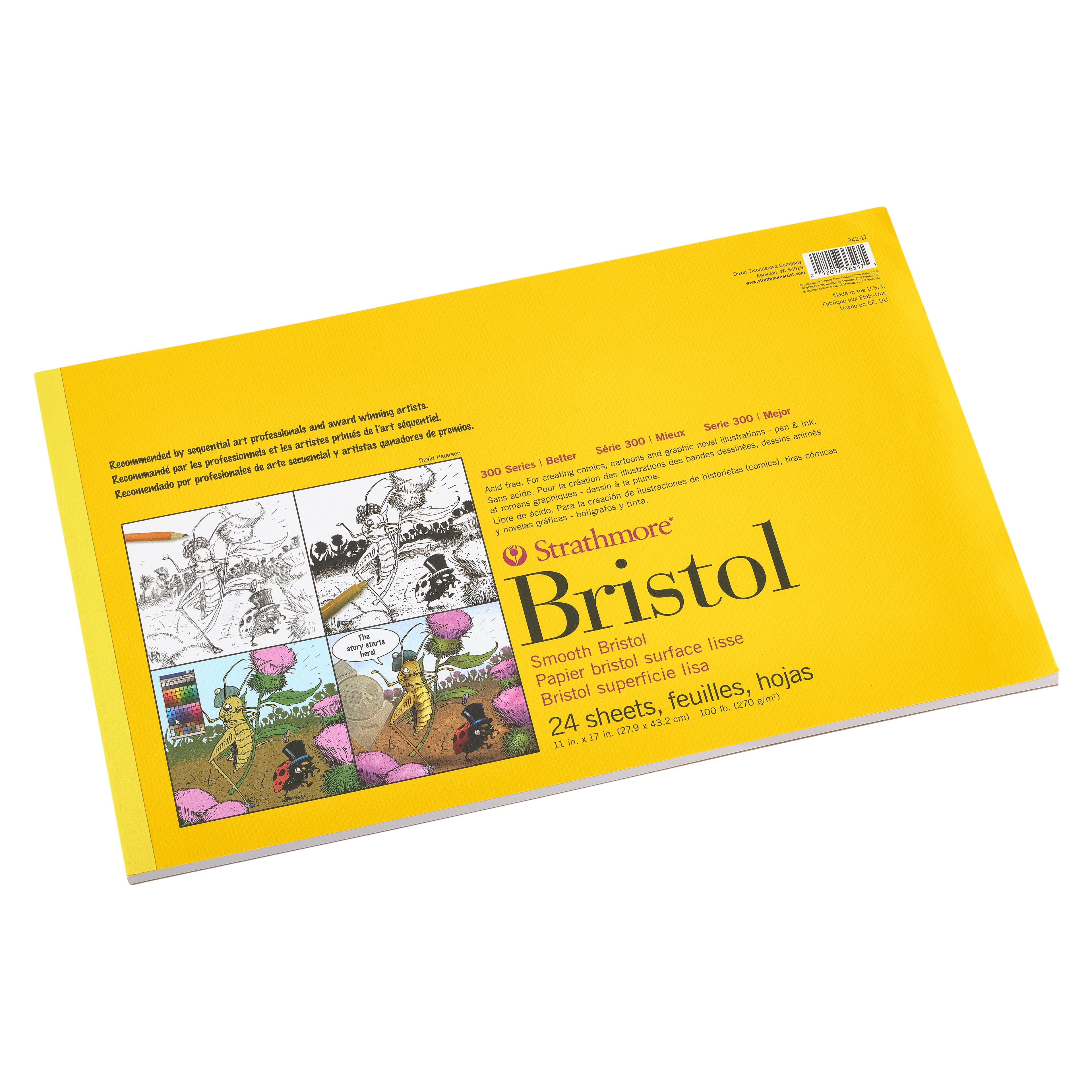 12 Pack Strathmore® 300 Series Sequential Art Smooth Bristol Paper Pad