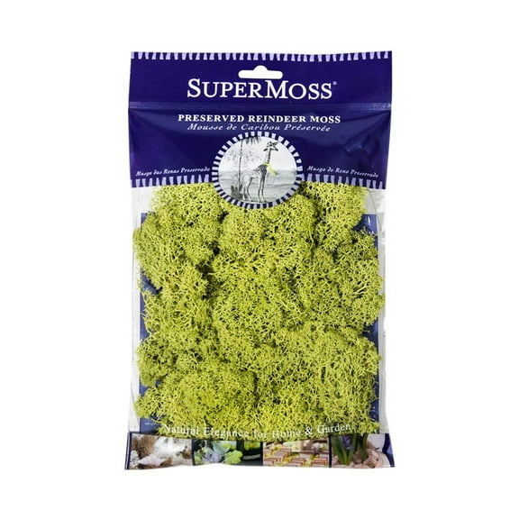 SuperMoss Chartreuse Preserved Reindeer Moss, 2oz., 12 Pack
