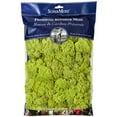 thumbnail image 1 of SuperMoss Preserved Chartreuse Reindeer Moss, 12 Pack, 1 of 2