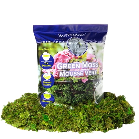SuperMoss Preserved Green Moss, 12 Pack