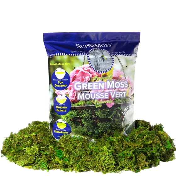 SuperMoss Preserved Green Moss, 12 Pack