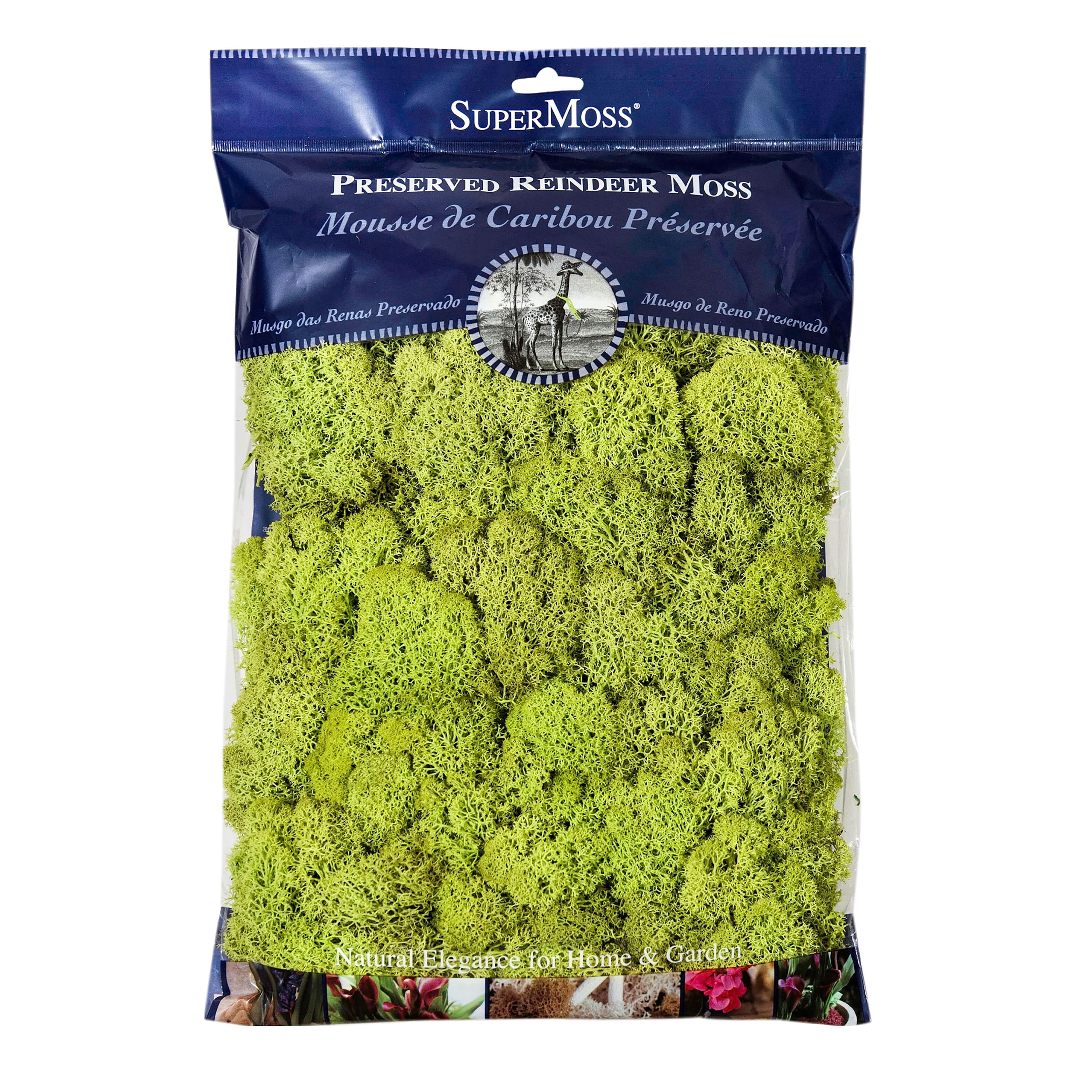 Super Mos SuperMoss Preserved Reindeer Moss, 8oz., 12 Pack - Walmart.com