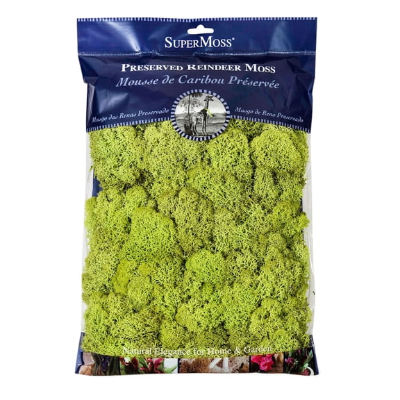 SuperMoss Preserved Reindeer Moss, 8oz., 12 Pack