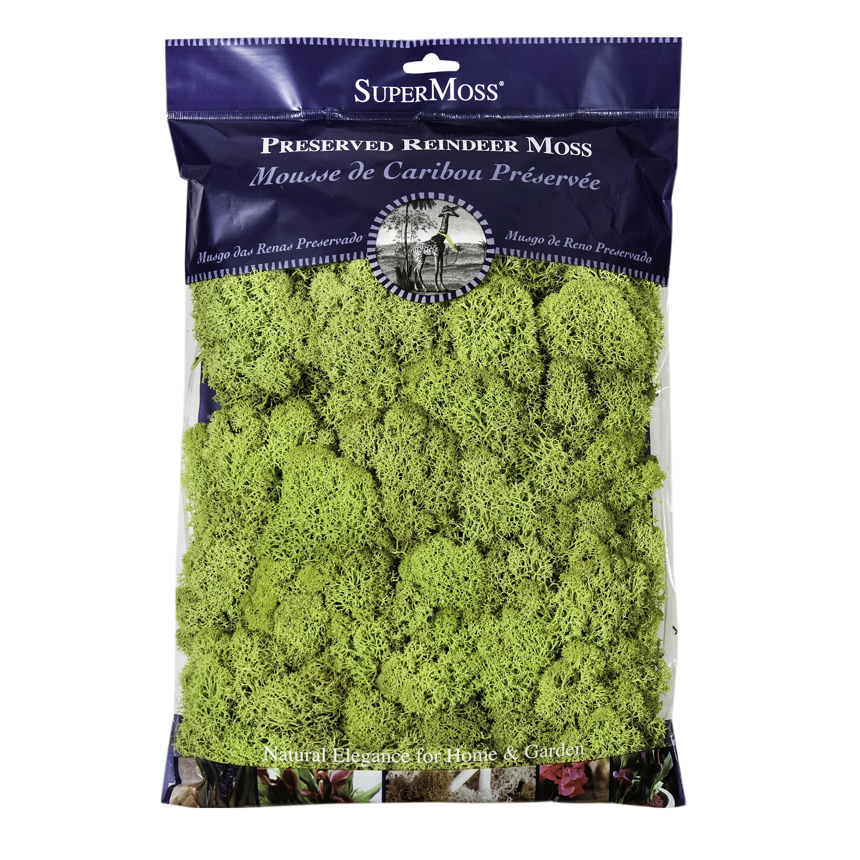 SuperMoss Preserved Reindeer Moss, 8oz., 12 Pack