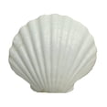 thumbnail image 1 of U.S. Shell Irish Deep Shell, 12 Pack, 1 of 3