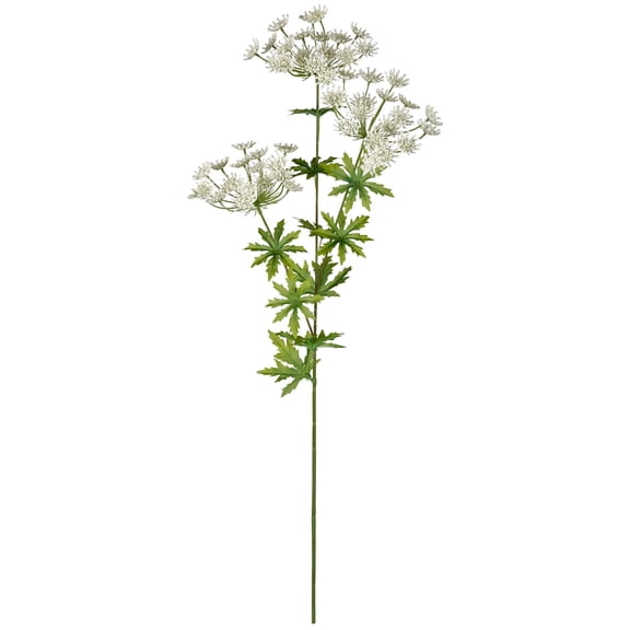 12 Pack: White Queen Anne's Lace Spray by Ashland