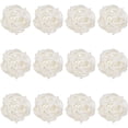 thumbnail image 1 of 12-Pack Wicker Rattan Balls 40mm/1.6 Inch Decorative Rattan Balls Orbs Vase Fillers Bowl Fillers for Christmas/Weddings/Thanksgiving/DIY Crafts/Home Decor [White], 1 of 6