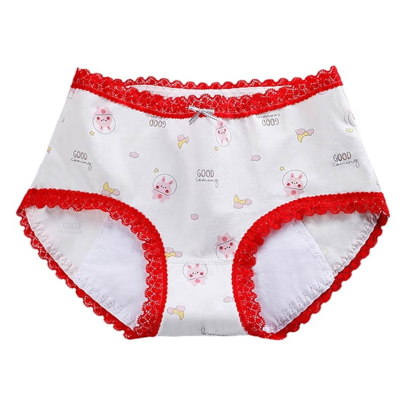 12 Pack Womens Underwear 4 Layer Leakproof Black Menstrual Light Flow Teens Brief Panties