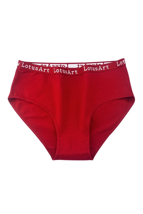 12 Pack Womens Underwear Large Size Mid High Waist Summer Letter Sports Briefs Panties Red 2XL