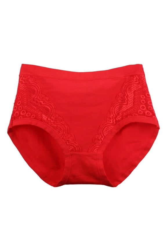12 Pack Womens Underwear Plus Size Lace Soft Hipster Panty Ladies Stretch Briefs Panties Red 2XL