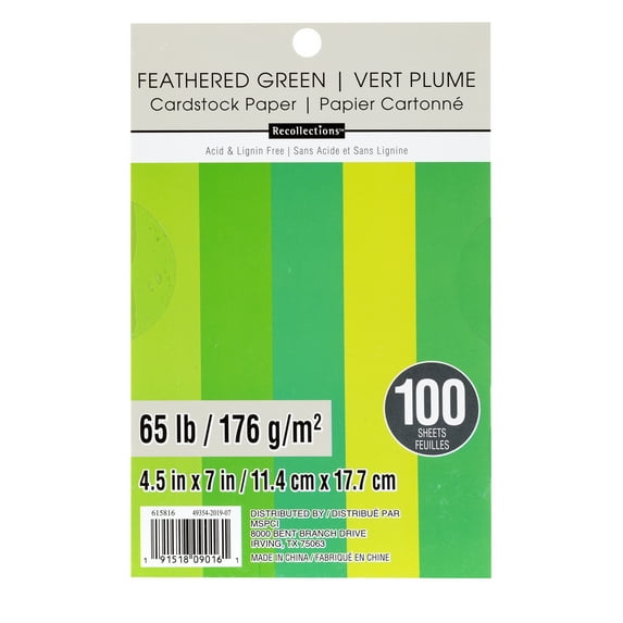 Recollections Feathered Green 4.5" x 7" Cardstock Paper, 12 Packs: 100 ct. (1,200 total)
