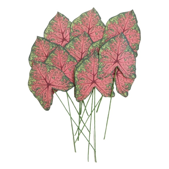 Recollections Green & Pink Paper Caladium Leaves, 12 Packs: 12 ct. (144 total)