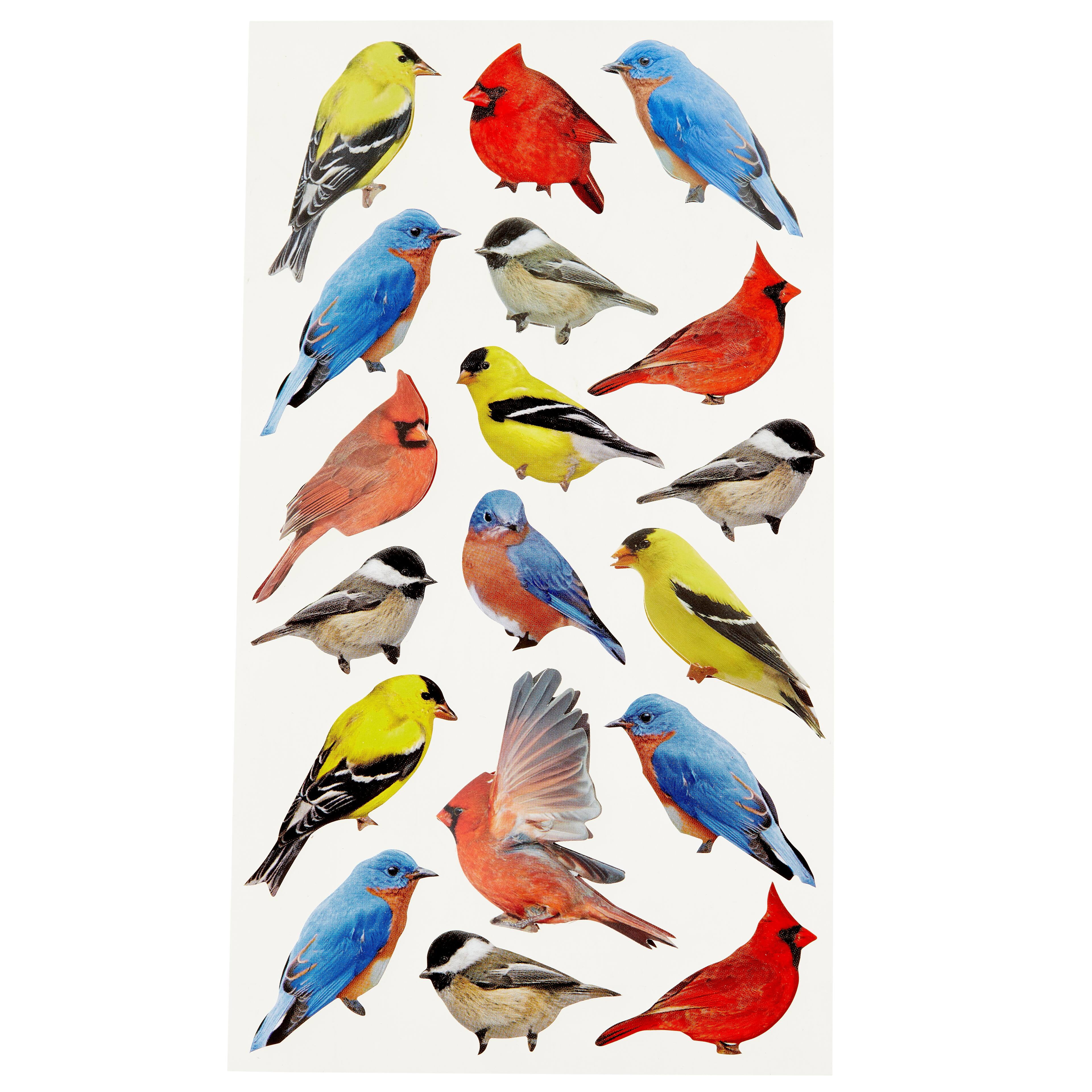 Recollections Bird Stickers, 12 Packs: 18 ct. (216 total)