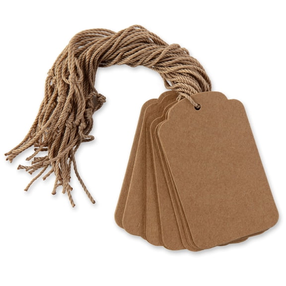 Recollections Kraft Gift Tags, 12 Packs: 20 ct. (240 total)