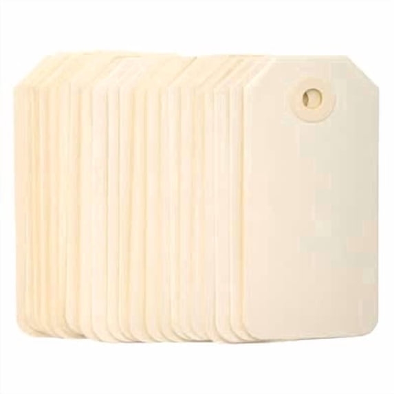12 Packs: 25 ct. (300 total) Small Gift Tags by Recollections