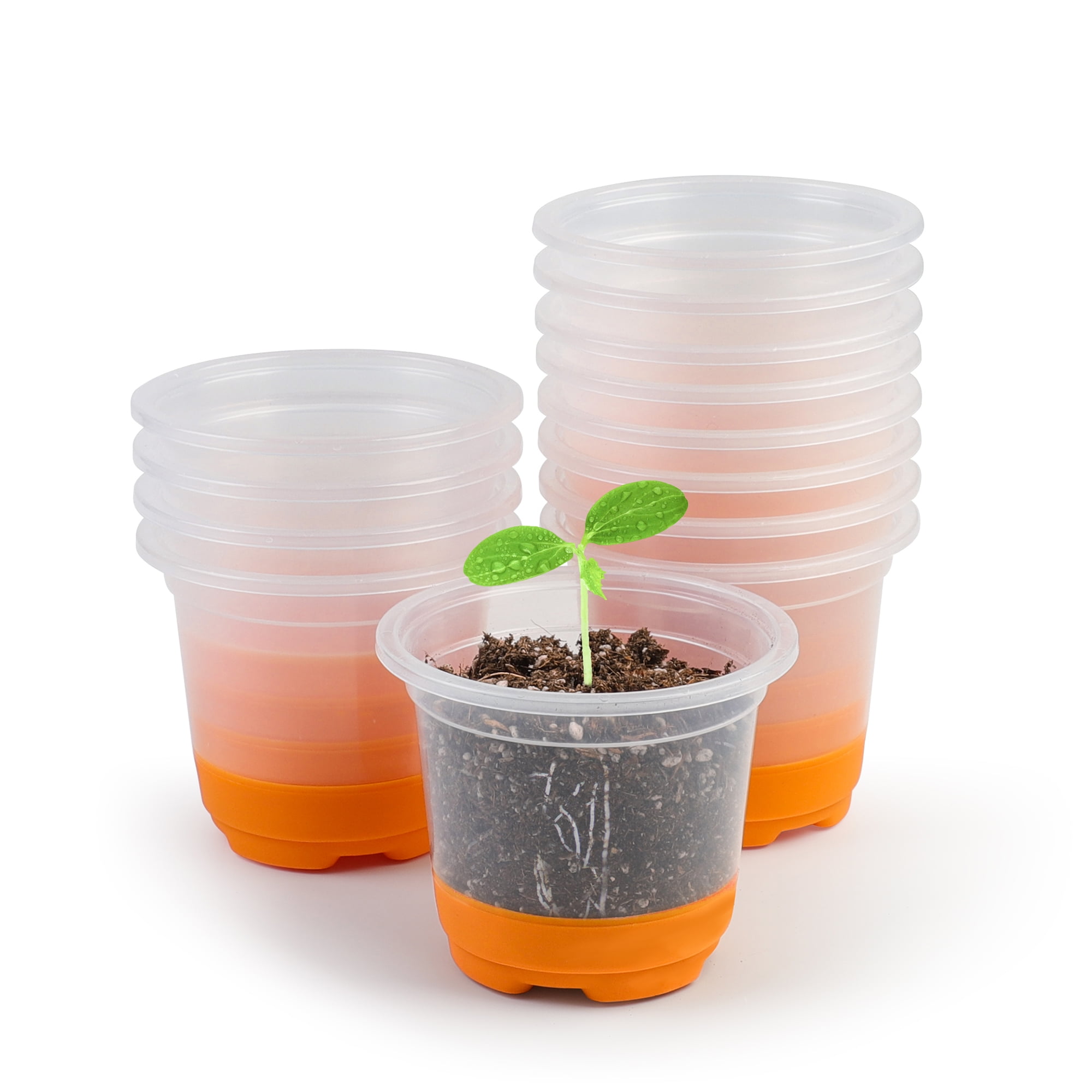 12 Packs 4 inch Clear Nursery Pots with Silicone Base for Easy