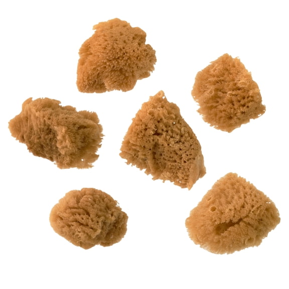Royal & Langnickel Natural Sea Silk Sponge Set, 12 Packs: 6 ct. (72 total)