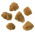 thumbnail image 1 of Royal & Langnickel Natural Sea Silk Sponge Set, 12 Packs: 6 ct. (72 total), 1 of 2
