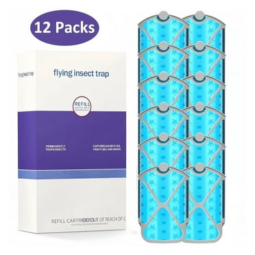 Image showcasing Are Fruit Flies Attracted To Light - Your Cool Home