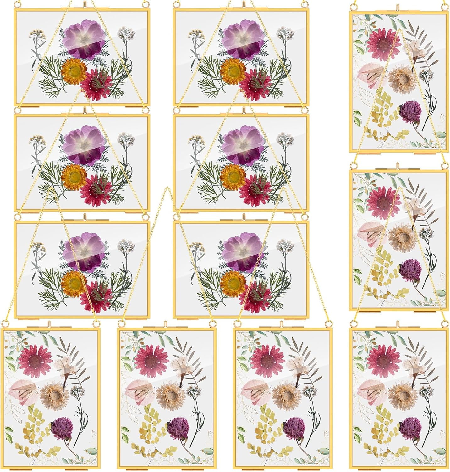 12 Packs Pressed Flowers Glass Frames, 5 x 7 Inch Brass Hanging ...