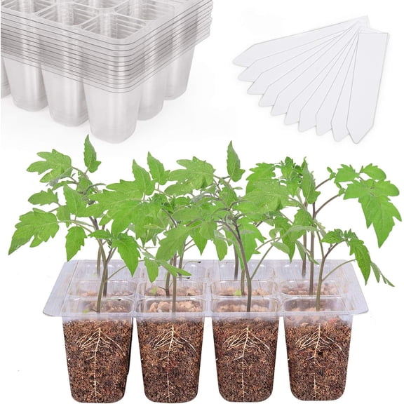 12 Packs Seed Starter Tray with Drainage Holes, Reusable & Durable, Clear for Root Monitoring, Easy to Repotted Without Root Damage, 12 Cells per Tray