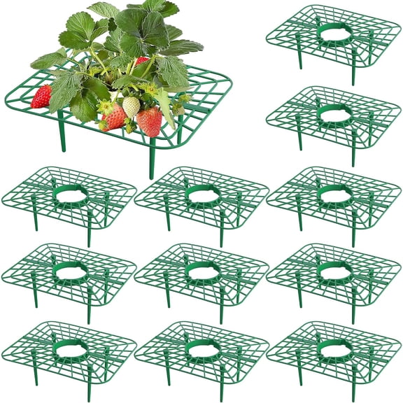 12 Packs Square Strawberry Supports-Strawberry Growing Racks- Plant Support Strawberry Stand Holder Growing Frame Keep Berries Clean