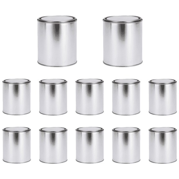 12 Pack 16.9 oz Empty Metal Paint Cans with Airtight Lids Tinplate Storage Containers for Paint, Coatings, Adhesives & Samples, Small Paint Buckets for DIY, Arts & Crafts