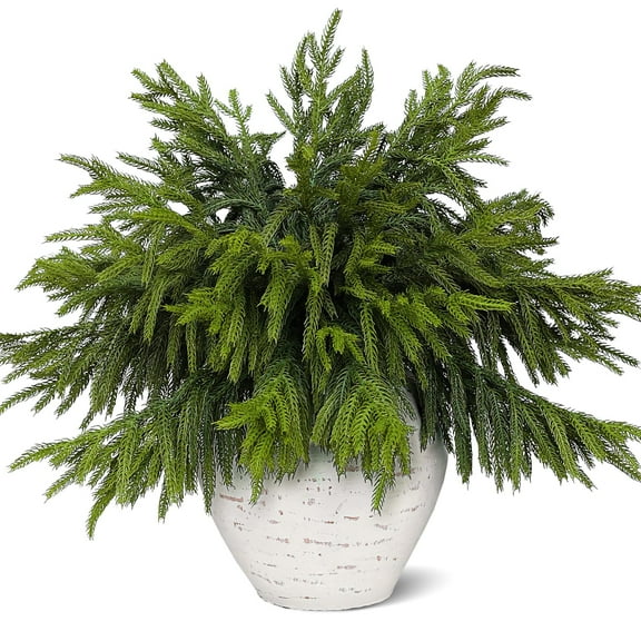 12 Pcs 18 inch Christmas Norfolk Pine Branches, Artificial Christmass Pine Branches Norfolk Pine Stems DIY Crafts Faux Christmas Greenery Stems for Xmas Indoor Outdoor Home Decor