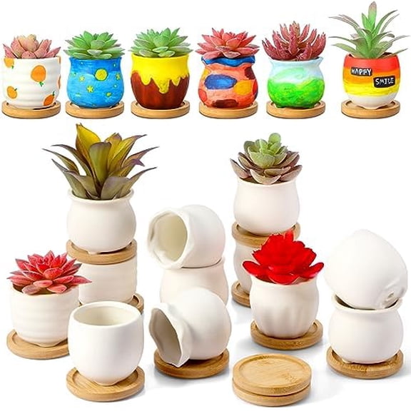 12 Pcs 2.5 Inch Mini Succulent Pots with Bamboo Tray White Ceramic Pots Color Your Own DIY Small Planters Containers for Flower Cactus with Drainage Hole for Plant Lover