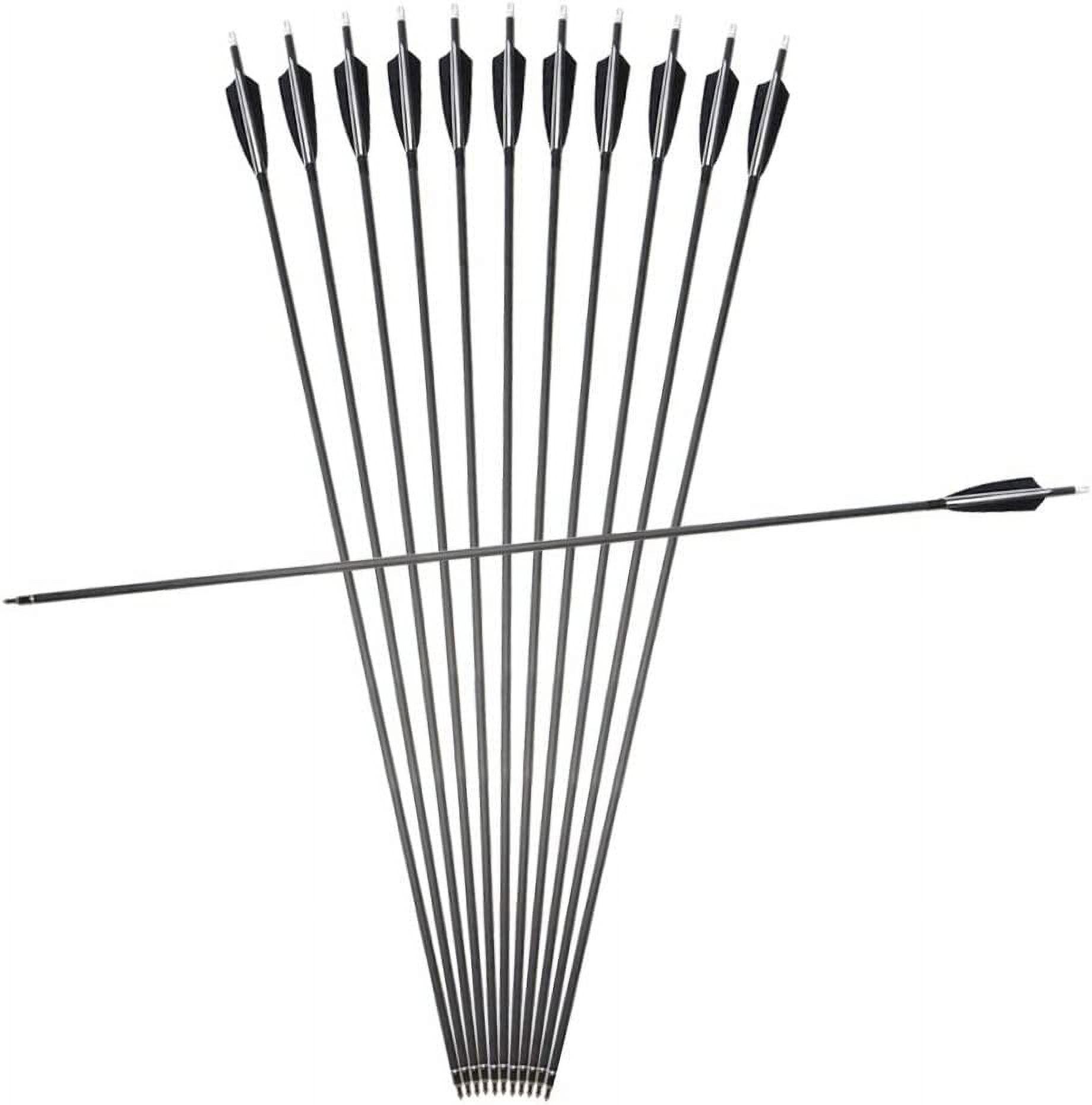 12 Pcs 34 Inches Archery Carbon Arrows Spine 500 Practice Hunting with