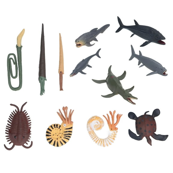 12 Pcs Ancient Marine Animal Models Toys Vivid Simulation Design Ancient Marine Animal Figures Gifts