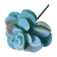 thumbnail image 1 of 12 Pcs Artificial Faux Succulents In 5 Styles, Mini Faux Succulent Plants For Home Decoration Wreath Terrarium Flower Pot Diy, Wired Stems Easy To Trim Low Maintenance, 1 of 7