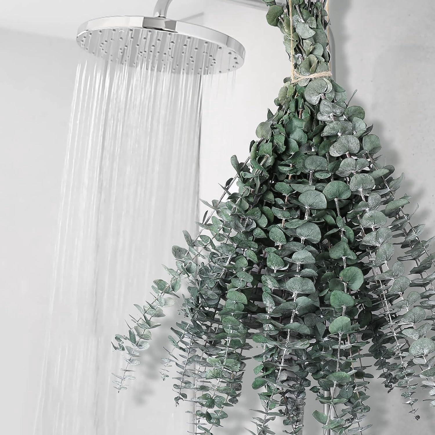 12 Pcs Dried Eucalyptus Bundle - 100% Real Natural Eucalyptus Leaves, 17'' Fresh Eucalyptus Stems for Shower, Aromatherapy, Flower Vase Arrangements, Wedding Home Greenery Decor (Green)