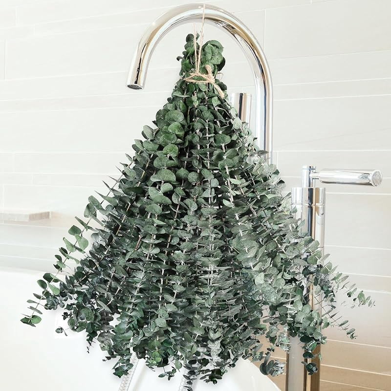 Photo inspiration: Gallery Detail: 12 Pcs Dried Eucalyptus For Shower Hanging