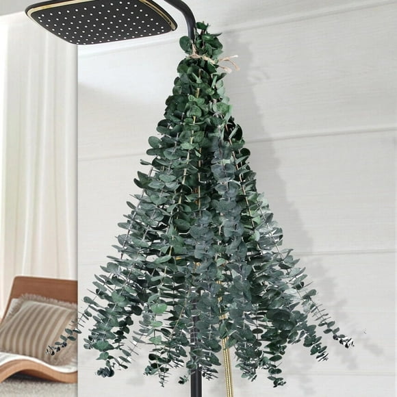 Lomyolo 12 Pcs Dried Eucalyptus Stems 17" Real Eucalyptus 100% Made From Fresh Eucalyptus Leaves Artificial Eucalyptus for Shower Hanging, Wedding Decor Home Decor Farmhouse Decor Diy Artificial Plan