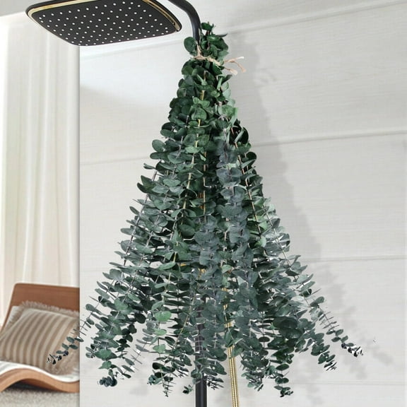 12 Pcs Dried Eucalyptus for Shower Hanging - 17'' Real Large Preserved Eucalyptus Stems Green Home Decor