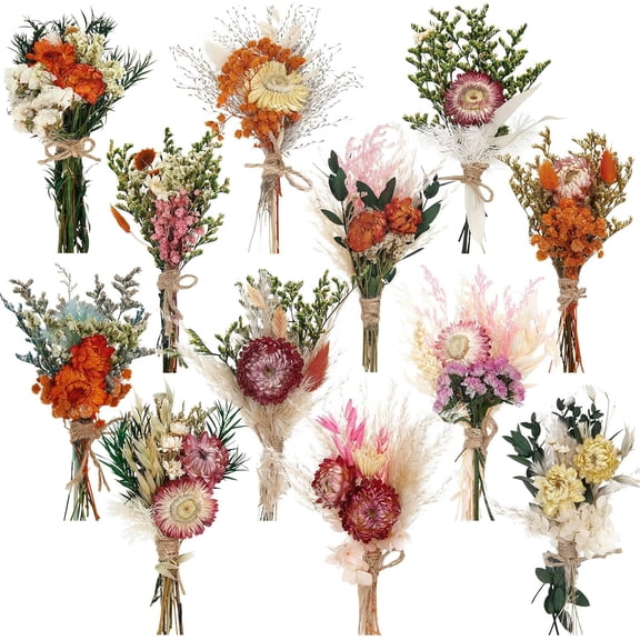 12 Pcs Dried Flower Bouquet Mini Wedding Handmade Dry Flowers Decor for Vase Crafts DIY Photo Boutonniere for Men Floral Plant for Bridesmaid Gift Birthday Decor(African Daisy)