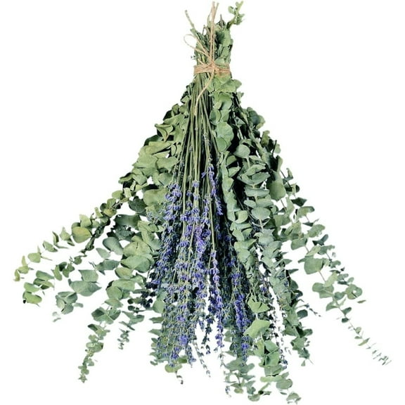 12 Pcs Dried Preserved Eucalyptus Stems & Lavender Flowers Bundle for Shower, 17'' Hanging Eucalyptus Plant Leaves, Aromatic Self-Care Shower Plants, Home, Shower Decor