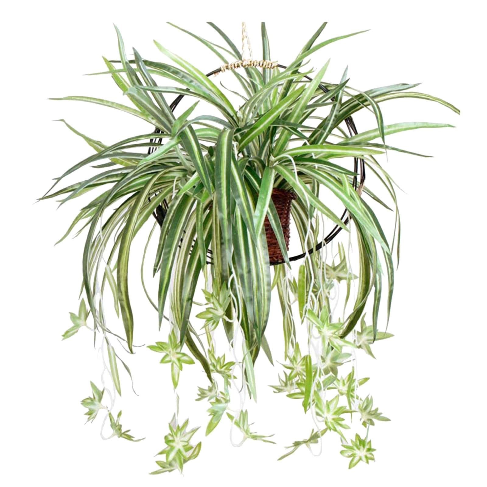 12 Pcs Dried Preserved & Flowers Bundles For Shower 18In Leaves Shower