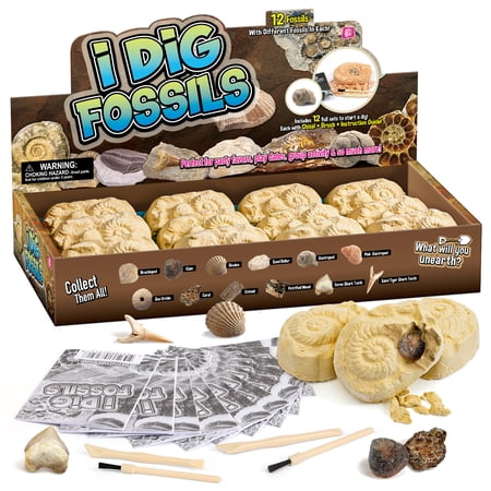 Piano Potato 12-Pack Fossil Dig Kit for Kids - Individually Wrapped Excavation Bricks with Real Fossils, Learning Cards & Poster, STEM Party Favors