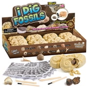 Piano Potato 12-Pack Fossil Dig Kit for Kids - Individually Wrapped Excavation Bricks with Real Fossils, Learning Cards & Poster, STEM Party Favors