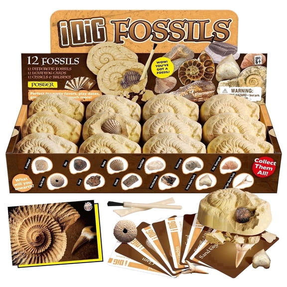 Piano Potato 12-Pack Fossil Dig Kit for Kids - Individually Wrapped Excavation Bricks with Real Fossils, Learning Cards & Poster, STEM Party Favors
