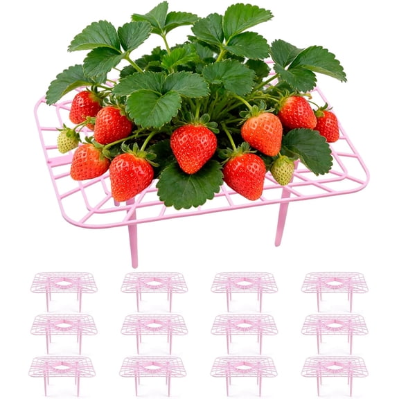 12 Pcs Garden Strawberry Supports Racks Square Strawberry Growing Racks with 4 Sturdy Legs Strawberry Support Stands Growing Frame to Keep Fruit Elevated to Prevent Strawberry Rot [Pink] (12, Pink)