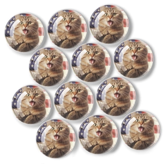 12 Pcs Glass Refrigerator Magnet Magnetic Fridge Sticker,Decor for Kitchen,Whiteboard, Cabinet,Cat With Its Tongue Sticking Out In Front Of An American Flag