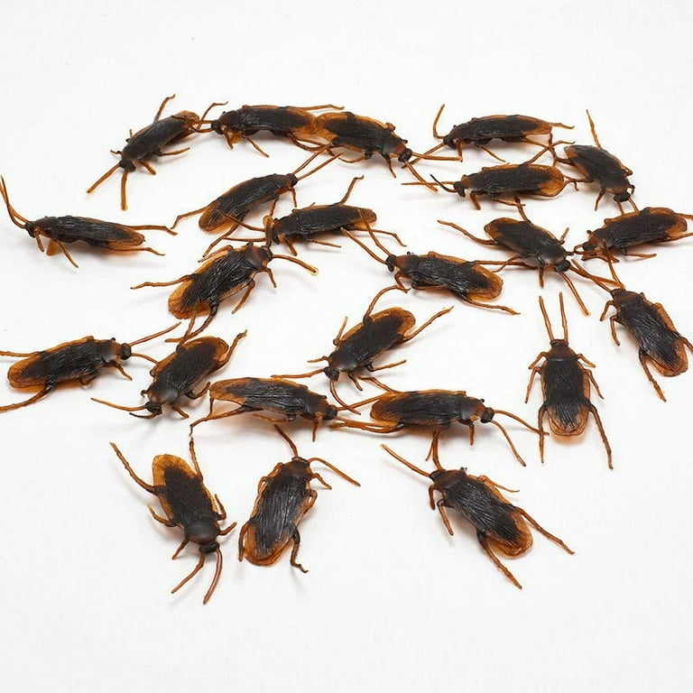 Plastic deals toy cockroaches