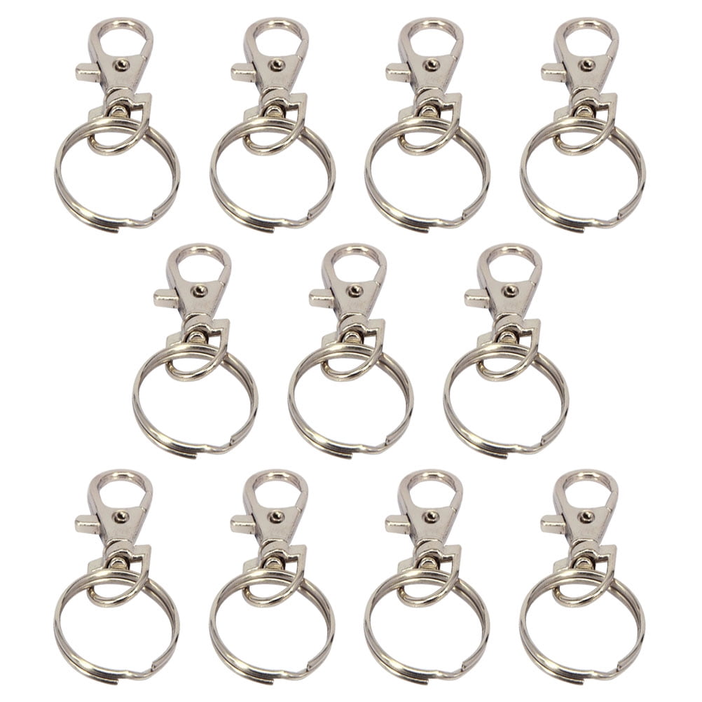 12 Pcs Keychain Clips for Crafts Detachable Organizer Carabiner with ...