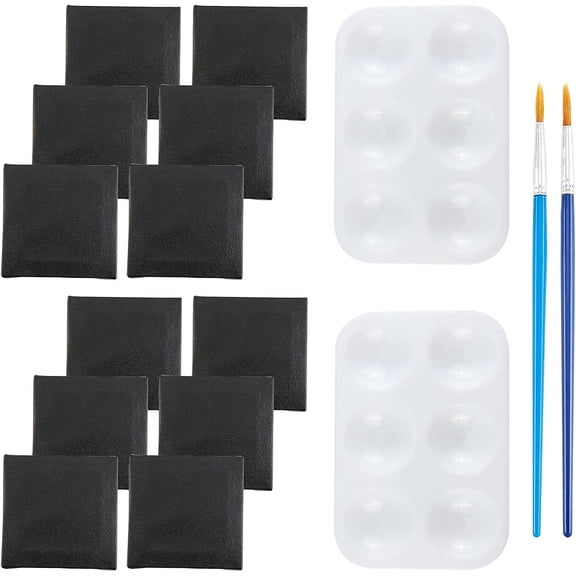 12 Pcs Mini Canvas Wood Primed Framed with 2 Pcs 6 Well Rectangular Watercolor Oil Palette Painting Tray and 2 Pcs Plastic Art Brushes for DIY handcrafting