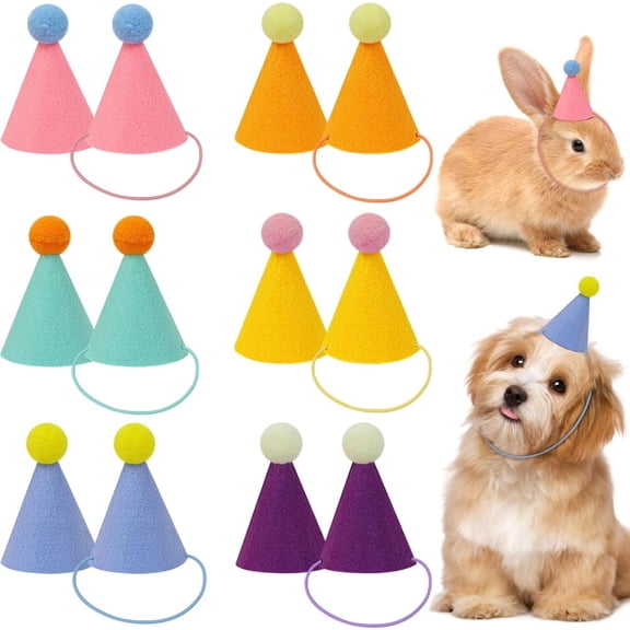 12 Pcs Mini Cone Party Hats, Small Decorative Party Caps for Pets, Dogs, Cats, Rabbits and Dolls, Birthday Party Decoration Supplies